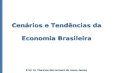 Cenários e Tendências da Economia Brasileira › fiepe › arquivos › Apresentao... · Cenários e Tendências da Economia Brasileira Prof. Dr. Tharcisio Bierrenbach de Souza