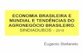 ECONOMIA BRASILEIRA E MUNDIAL E TENDÊNCIAS DO … › wp-content › themes › sindiadub... · (7,5% para as pessoas físicas e 0,5% para as jurídicas; 9,5% na carteira livre e