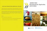 OCDE-FAO Perspec tivas Agrícolas 2015-2024docente.ifsc.edu.br/odivar.marcos/MaterialDidatico... · 2017-11-28 · 2.2. Tendências e perspectivas para a agricultura brasileira 2.2.1.