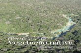 MÉTODOS E TÉCNICAS PARA RESTAURAÇÃO DA Vegetação nativa › content › dam › tnc › nature › en › ... · Neotrópica do Brasil para a publicação dos livros Métodos