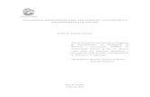 PESC - Programa de Engenharia de Sistemas e Computação - …cos.ufrj.br/~rfarias/dissertations/AndreMaximo_PhD.pdf · 2011-06-14 · Janeiro, COPPE, Programa de Engenharia de Sistemas