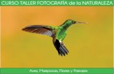 Sociedad Caldense de Ornitología › wp-content › uploads › 2014 › ...3-Realizar practicas el campo, fotografiando pa sales, aves, flores y mariposas con repaso en la noche