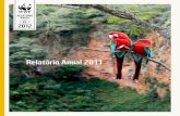 Relatório Anual 2011 · O Ano Internacional das Florestas, declarado pela Organização das Nações Unidas, foi celebrado em 2011 com o intuito de chamar a atenção do mundo para