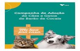 Campanha de Adoção - Vale.com › brasil › PT › aboutvale › servicos-para-comunidade › … · Campanha de Adoção de Cães e Gatos de Barão de Cocais De 9 a 20 de dezembro.