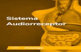 Ebook Histologia - Sistema Audiorreceptor › ... · se apresenta aderida ao periósteo. Perto do orifício da tuba auditiva, o epitélio torna-se prismático ciliado e, à medida