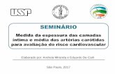 SEMINÁRIO · SEMINÁRIO Medida da espessura das camadas íntima e média das artérias carótidas para avaliação do risco cardiovascular São Paulo, 2017 Elaborado por: Andreia
