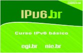 CURSO IPv6 BÁSICO...Internet y TCP/IP 9 Las especificaciones de IPv4 reservan 32 bits para direccionamiento, permitiendo generar más de 4 mil millones de direcciones diferentes.