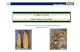 (3 Nitrogênio 2012) - UFPRnutricaodeplantas/nitro12.pdf · 2012-03-17 · - Angiospermas não leguminosas com algas azuis verdes em glândulas foliares. Espécies herbáceas em habitats