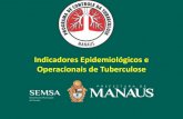 Indicadores Epidemiológicos e Operacionais de Tuberculose...3,45 4,34 3,90 4,24 -0,50 1,00 1,50 2,00 2,50 3,00 3,50 4,00 4,50 5,00 2015 2016 2017 2018 2019 2020 2021 2022 2023 2024