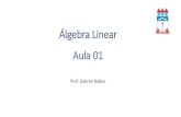 Álgebra Linear Aula 01 - WordPress.comTeoria Matriz Retangular ≠ 1 2 matriz-coluna 1 2 ⋯ matriz-linha Matriz Quadrada = = 11 12 13 ⋯ 1 21 22 23 ⋯ 2 31 1 32 2 33 ⋯ 3 3 Diagonal