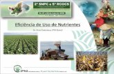 Eficiencia de uso de nutrientes - Eros Francisco · 2019-04-10 · Indicadores da Eficiência de Uso de Nutrientes (i) Fator de Produtividade Parcial: Produtividade (P) Fertilizante