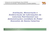 Avaliação, Mensuração e Evidenciação de informações de ... · Executivo de Santa Catarina. Diretoria de Contabilidade Geral (DCOG) Gerência de Estudos e Normatização Contábil