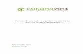 biodiversidad y gestión: un reto en los › conama › download › files › conama2014 › CT 201… · 2014-10-24 · Lagunas de Ruidera que me acercó a la problemática territorial