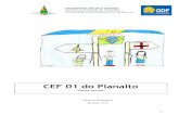 CEF 01 do Planalto - se.df.gov.br · A história da escola da Vila Planalto se confunde com a história da construção de Brasília. Em 1954, a primeira escola da futura capital