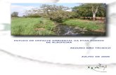 Estudo de Impacte Ambiental da ETAR Poente de Albufeira › attachments › pipeline › 20050125_nts... · 2016-05-21 · Estudo de Impacte Ambiental da ETAR Poente de Albufeira