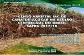 Governo do Estado de São Paulo Instituto Agronômico · produtoras, responsáveis por 6,3 milhões de hectares recenseados, que representam 69% da área total da região. A variedade
