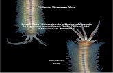 Gilberto Bergamo Neto · 2019-02-19 · 2 Gilberto Bergamo Neto Taxonomia, Reprodução e Desenvolvimento de Diopatra neapolitana Delle Chiaje, 1841 (Onuphidae, Annelida) Taxonomy,