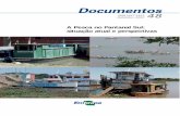 ISSN 1517-1973 48 Dezembroainfo.cnptia.embrapa.br/digital/bitstream/item/81185/1/DOC48.pdf · A pesca no Pantanal Sul: situação atual e perspectivas 15 Fig. 1 Quantidade de pescado