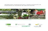 Qualificação profissional para o desenvolvimento da ... · Qualificação Profissional para o Desenvolvimento da Fruticultura no Território do Vale do Ivaí – PR Ovídio Cesar