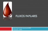 FLUXOS PAPILARES - Clínica Casa da Mamacasadamama.com/images/file/fluxo-papilar-2017.pdf · Risco de Câncer. MMG 6/2012. MMG 11/2012. CORE 6/2012. CORE 6/2012. INVESTIGAÇÃO DIAGNÓSTICA.