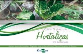 Cultivo Orgânico de em Babaçuais · 2018-10-10 · que o cultivo de hortaliças não compromete a coleta de coco. Esse sistema apresenta-se como mais uma alternativa econômica