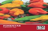 PIMENTAS - Minas Geraisminas1.ceasa.mg.gov.br/.../PIMENTA.pdf · pimenta era tão importante para os povos indígenas americanos quanto o sal para os europeus. As pimentas são do