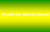 PLANTAS MEDICINAIS - ETESIetesi.com.br/arq/2-ano/1sem/2-1sem-plantas-medicinais.pdf · 2020-03-26 · Descrição da planta: A alcachofra é uma hortaliça rara, abundantemente ...