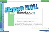 Excel. - Cap 4 - EA20052006 › paginaspessoais › maeb › ip › Teoricas_PDF › Micr… · Introdução à Programação Microsoft Excel 1.4.4. Repetição de Fórmulas e Utilização