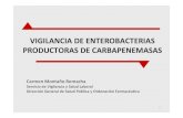 VIGILANCIA DE ENTEROBACTERIAS …pirasoa.iavante.es/pluginfile.php/3257/mod_resource...•Enterobacterias multirresistentes productora de betalactamasasde espectro extendido (BLEE)