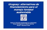 Uruguay: alternativas de financiamiento para el manejo ... · protección de los bosques nativos, nuevas modalidades de financiamiento, la corriente de inversión extranjera en foresto-industrias,