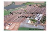 Agro Pastoril Paschoal Campanelli - Scot Consultoria › encontroconfinamento › palestr… · Sinergia com sustentabilidade. Cana de açúcar 110,07 93,57 80,4 96,84 97,43 89,35