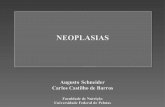NEOPLASIASespacoviverzen.com.br/wp-content/uploads/2017/06/... · 2019-03-17 · NEOPLASIAS MALIGNAS Vias de disseminação das neoplasias Via linfática Principalvia de disseminação