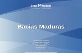 Bacias Maduras - ANP€¦ · Conclusões As Bacias Maduras da Rodada 14 dispõem de completa infraestrutura para exploração e produção de petróleo e gás natural; Possuem potencial