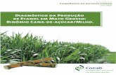 Diagnóstico da Produção de Etanol em Mato Grosso: Binômio ...V. 17, 2018 8 A produção de etanol hidratado voltou a crescer (Gráfico 1) apenas com a regulamentação da tecnologia
