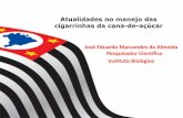 Atualidades no manejo das cigarrinhas da cana-de-açúcargebio.com.br/site/wp-content/uploads/2016/08/Dia1... · Atualidades no manejo das cigarrinhas da cana-de-açúcar José Eduardo