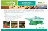 PANORAMA DES - le site internet de la bio en …...La région Occitanie comptabilise 1210 opérateurs de la transformation industrielle et du commerce de gros ayant une activité bio.