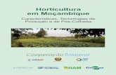 Agropedia brasilis - Horticultura em Moçambique...Mocambique, na Estação Agrária de Umbeluzi, Boane, Moçambique. Walter T. Bowen Engenheiro Agrónomo, PhD. em Agronomia (Ciência