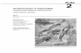 JOSÉ ADERVAL ARAGÃO META · 2017-11-17 · INTRODUÇÃO À ANATOMIA: TERMOS ANATÔMICOS DESCRITIVOS META Passar os conhecimentos teóricos acerca do histórico da Anatomia Humana