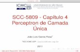 SCC-5809 - Capítulo 4 Perceptron de Camada Únicawiki.icmc.usp.br/images/c/cd/SCC5809Cap4.pdf · PerceptronLMS SCC-5809 - Capítulo 4 Perceptron de Camada Única João Luís Garcia