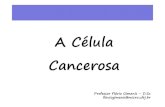 A Célula Cancerosaflaviogimenis.com.br/wp-content/uploads/2018/12/... · ACélulaCancerosa A célula cancerosa prolifera muito, perde a capacidade de aderência, secreta enzimas
