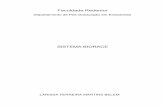 MONOGRAFIA - LARISSA F M BELEM€¦ · LARISSA FERREIRA MARTINS BELEM SISTEMA BIORACE Monografia apresentada ao Curso de Especialização em Endodontia para obtenção de título