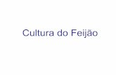 A cultura do feijão em Santa Catarina - Unesp...FEIJÃO PRETO – Importações Brasileiras (toneladas) Fonte: AGRIANUAL (2018). @ AtéJulho/2017 Países 2013 2014 2015 2016 2017@