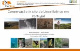 Conservação in situ do Lince Ibérico em PortugalPlano de Ação para a Conservação do Lince Ibérico em Portugal – balanço conservação In situ 2015 1. Conservação dos habitats