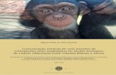Comunicação Gestual de uma Amostra de Chimpanzés (Pan ... · Ao Jardim Zoológico de Lisboa pela oportunidade concedida e pela simpatia e amabilidade manifestada por todos os seus
