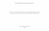 EFEITO ANTIOXIDANTE DA ERVA MATE ( Ilex paraguariensis ) EM …livros01.livrosgratis.com.br/cp136582.pdf · 2016-01-26 · O radical superóxido (O 2¯˙ou O 2¯ ou O 2˙) é produzido