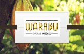 Conceito - connectamericas.com...• Conceito A Warabu pretende produzir chocolate orgânico através de um método artesanal chamado Bean -to-Bar, com cacau de origem única, principalmente