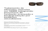 Tratamento de efluentes vinícolas em SBBR …...processos de Tratamento de efluentes vinícolas em SBBR integrando oxidação avançada e biodegradação por biofilmes microbianos