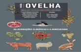 revista OVELHA - ACOS · 2019-04-22 · Estatuto Editorial A Revista OVELHA é uma publicação mantida pela ACOs – Agricultores do sul, desde o primeiro momento da constituição