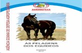 CARTILHA PELAGENS - Goiás · 2017-04-27 · Title: CARTILHA PELAGENS Author: ROGER Created Date: 3/23/2012 4:33:28 PM