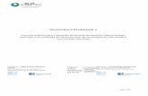 RELATÓRIO PRELIMINAR II - eSPap€¦ · Relatório preliminar do concurso público para a aquisição de serviços de desenho, administração, operação e consolidação de infraestruturas